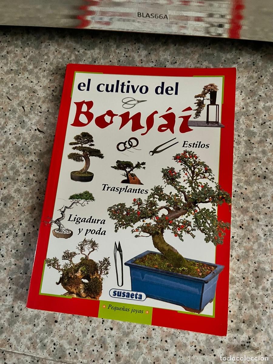 Libros de segunda mano: BLAS66A &mdash; El cultivo del bons&aacute;i &mdash; Varios autores &mdash; Editorial: Susaeta