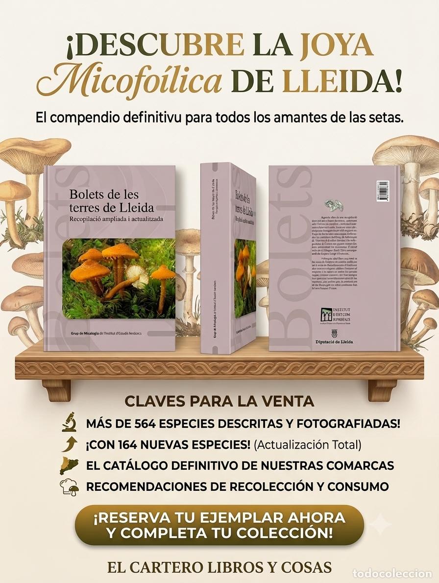 Libros de segunda mano: BOLETS DE LES TERRES DE LLEIDA RECOPILACI&Oacute; I AMPLIACI&Oacute; ACTUALITZADA