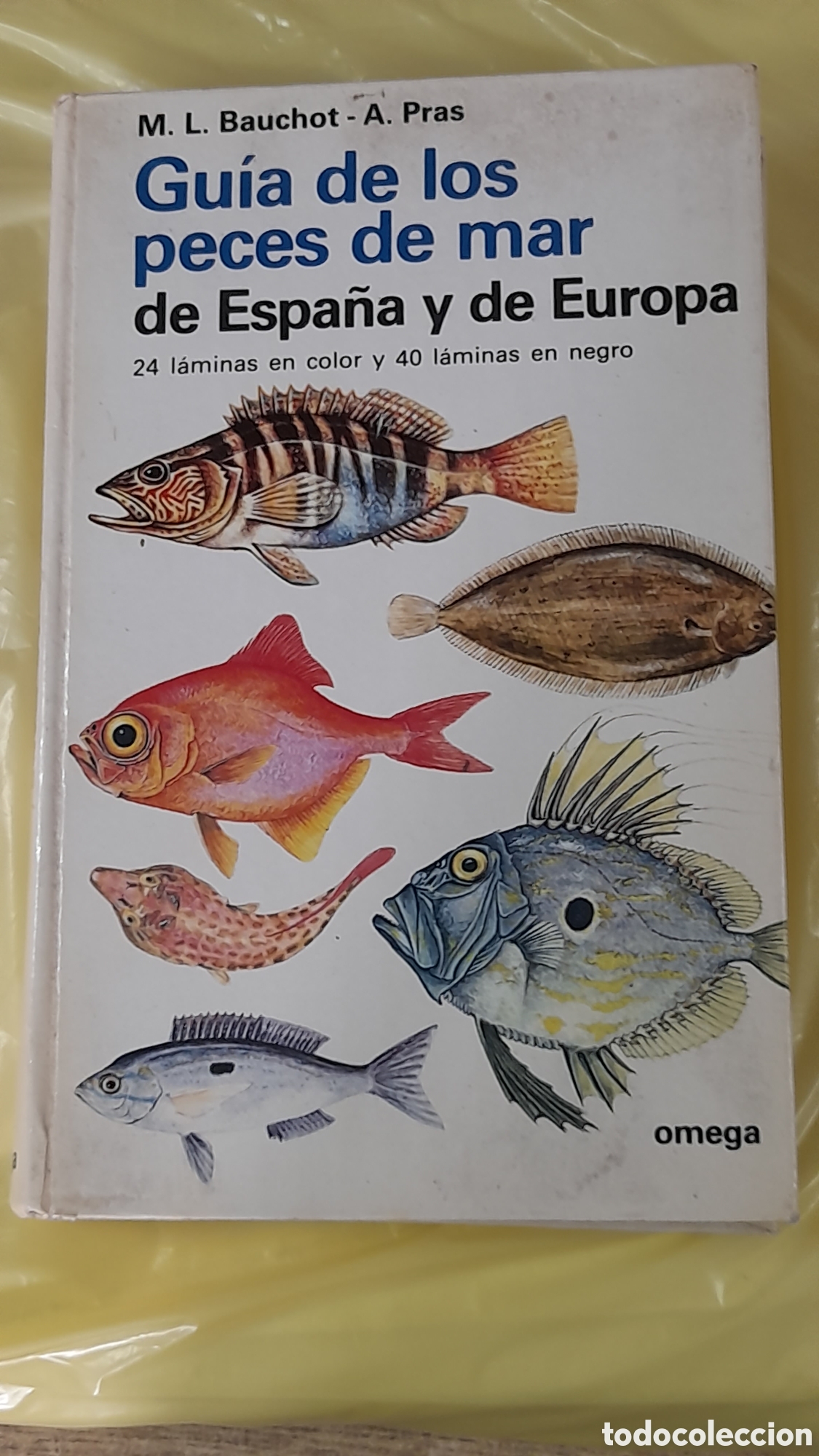 Libros de segunda mano: Gu&iacute;a de los peces de mar de Espa&ntilde;a y de Europa