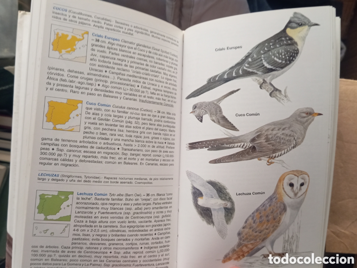 Libros de segunda mano: GUIA DE LAS AVES DE ESPA&Ntilde;A - EDUARDO DE JUANA - Foto 4