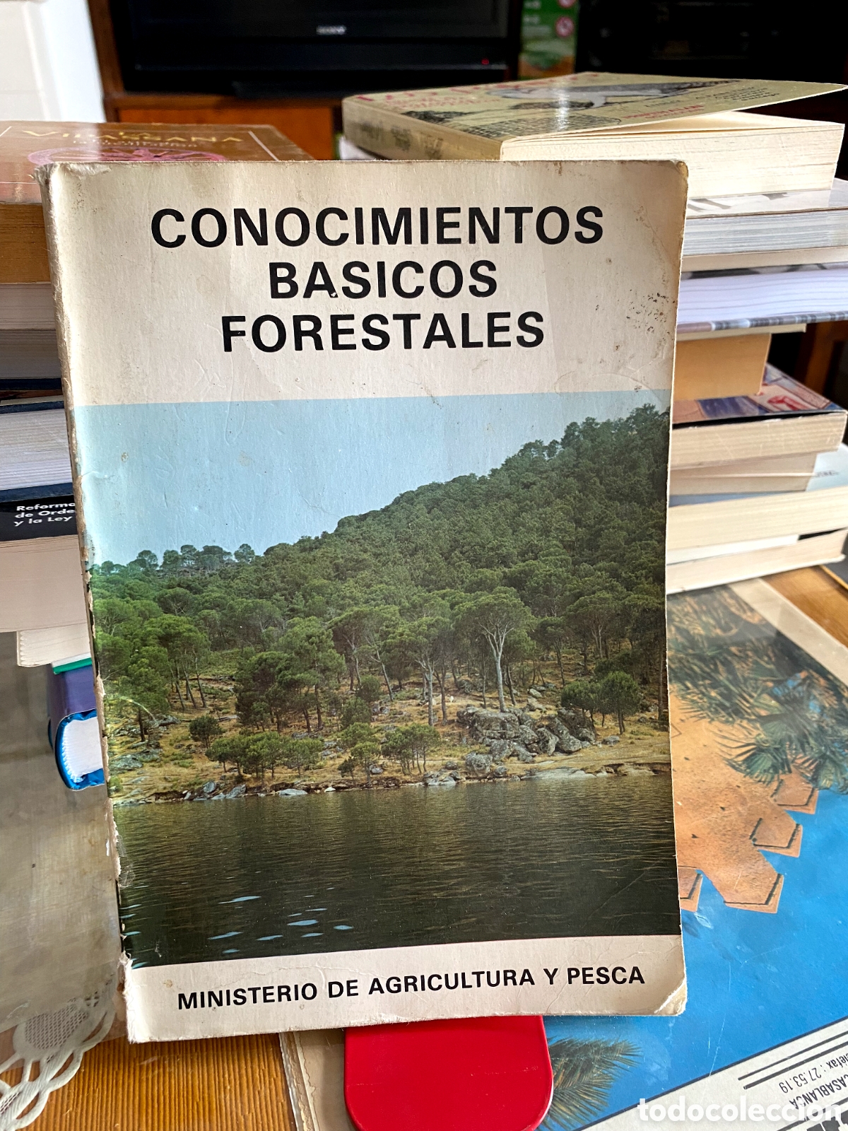 Libros de segunda mano: Conocimientos b&aacute;sicos forestales, Valladares, Ministerio Agricultura, 1981 (PEDIDO MINIMO 10&euro;)