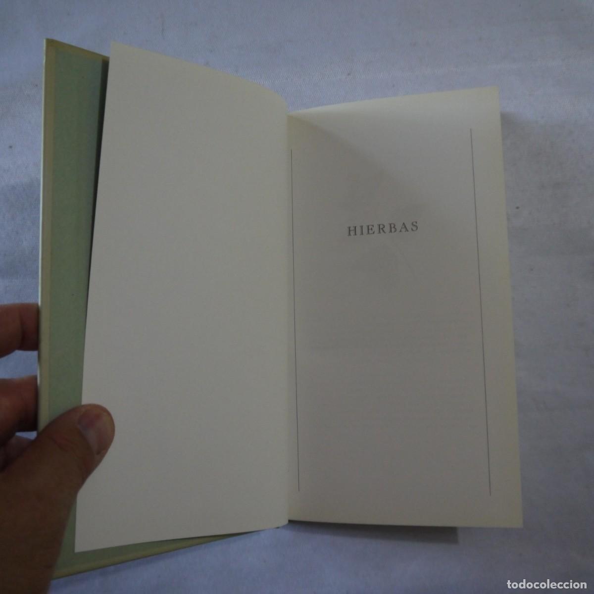 Libros de segunda mano: HIERBAS. MANUAL PARA SIBARITAS - MARCUS A. WEBB - Foto 3