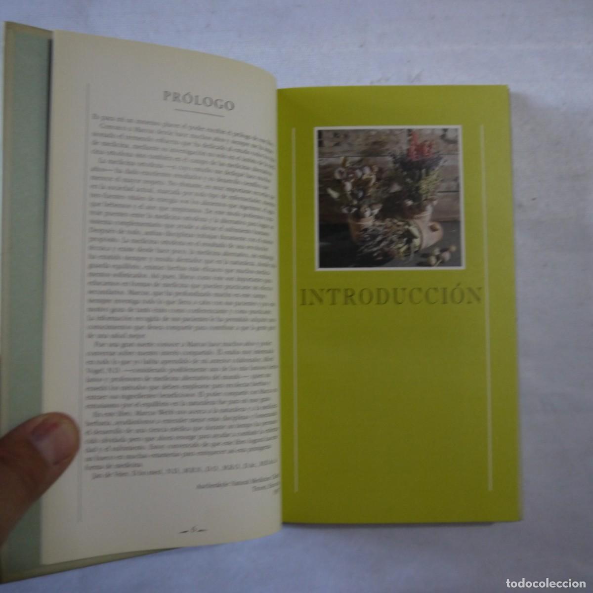 Libros de segunda mano: HIERBAS. MANUAL PARA SIBARITAS - MARCUS A. WEBB - Foto 6