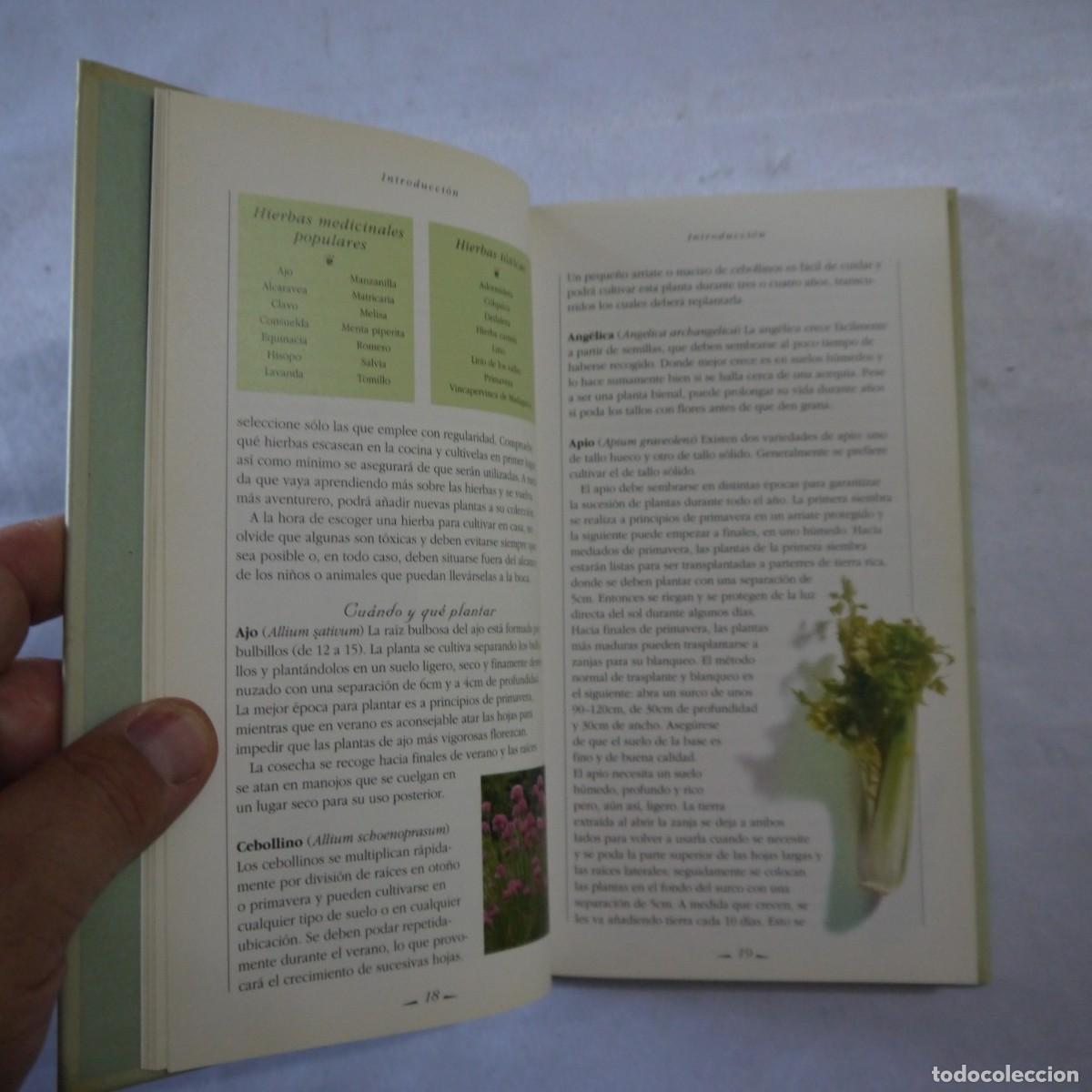 Libros de segunda mano: HIERBAS. MANUAL PARA SIBARITAS - MARCUS A. WEBB - Foto 7