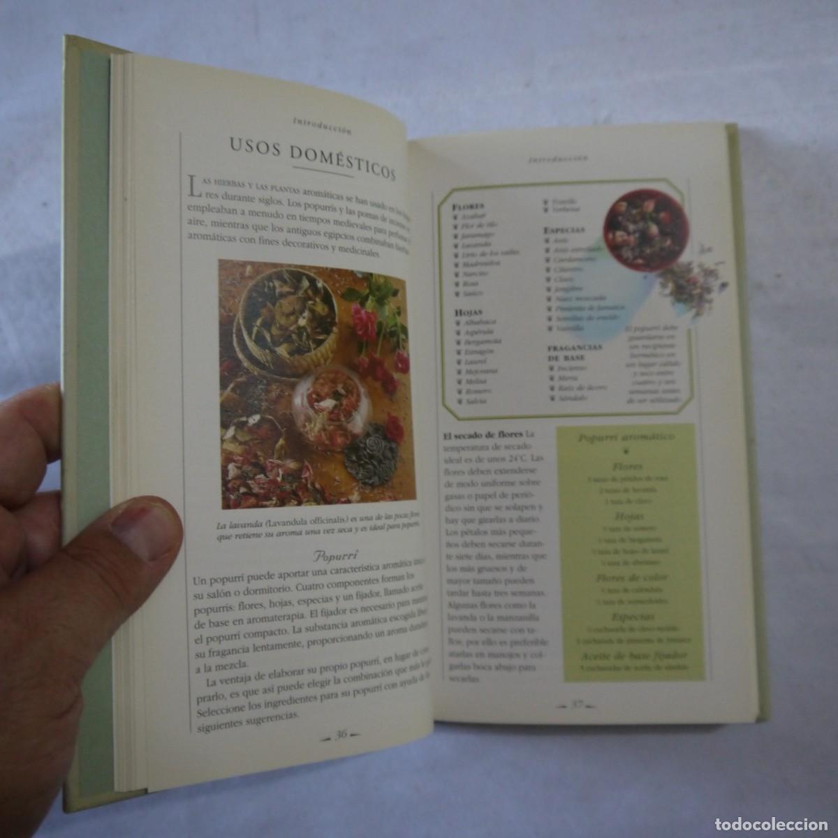 Libros de segunda mano: HIERBAS. MANUAL PARA SIBARITAS - MARCUS A. WEBB - Foto 8