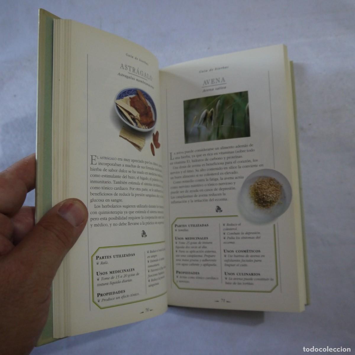 Libros de segunda mano: HIERBAS. MANUAL PARA SIBARITAS - MARCUS A. WEBB - Foto 9