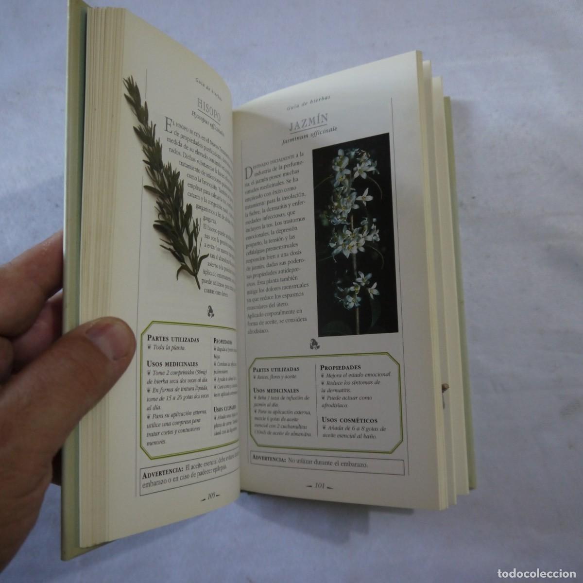 Libros de segunda mano: HIERBAS. MANUAL PARA SIBARITAS - MARCUS A. WEBB - Foto 10