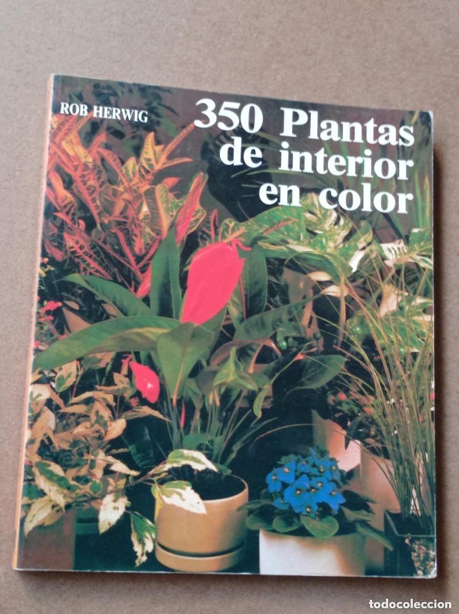 Libros de segunda mano: 350 PLANTAS DE INTERIOR EN COLOR. ROB HERWIG. BLUME, 1998. MUY ILUSTRADO. VER +++