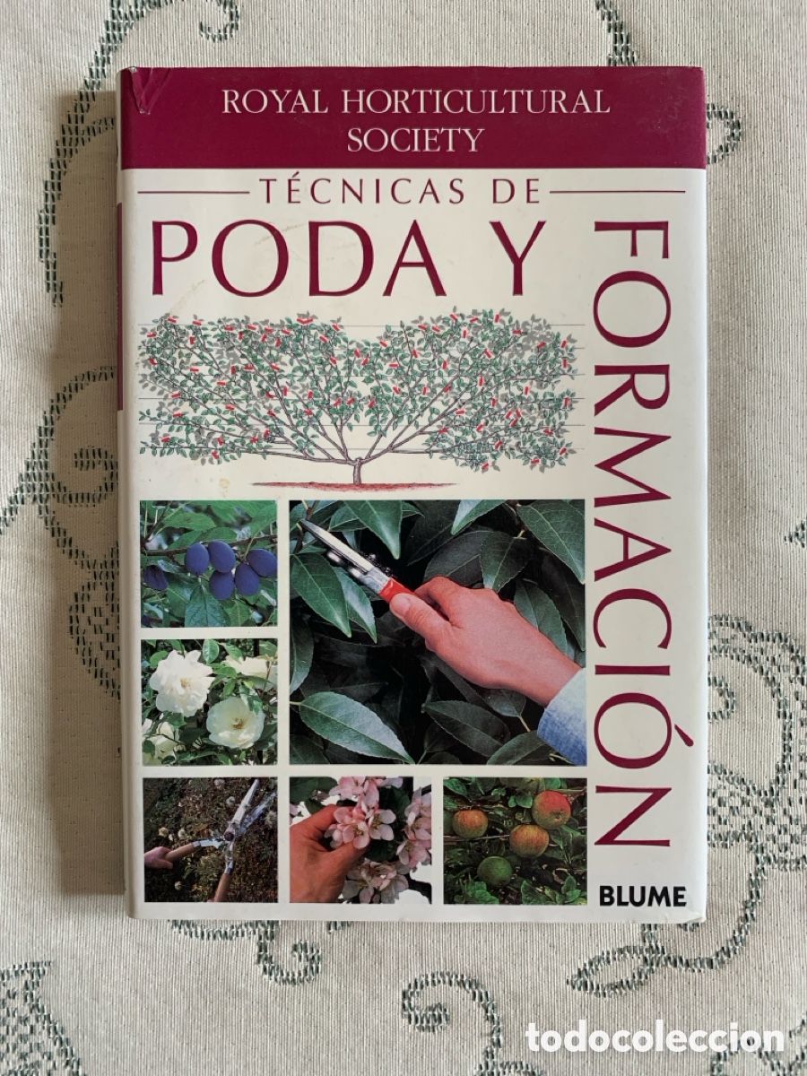 Libros de segunda mano: T&eacute;cnicas de poda y formaci&oacute;n
