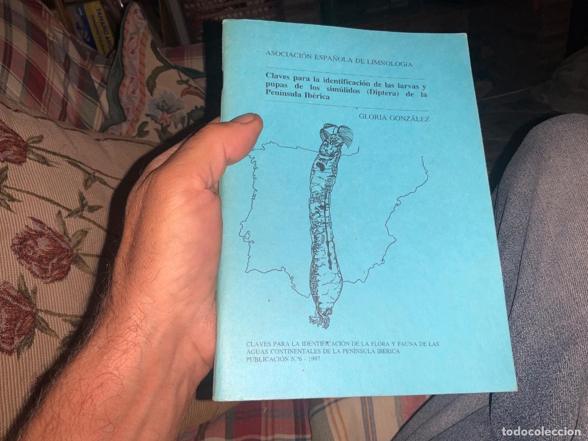 Libros de segunda mano: Claves para la identificaci&oacute;n de las larvas y pupas de los sim&uacute;lidos (Diptera) de la Pen&iacute;nsula Ib&eacute;ri