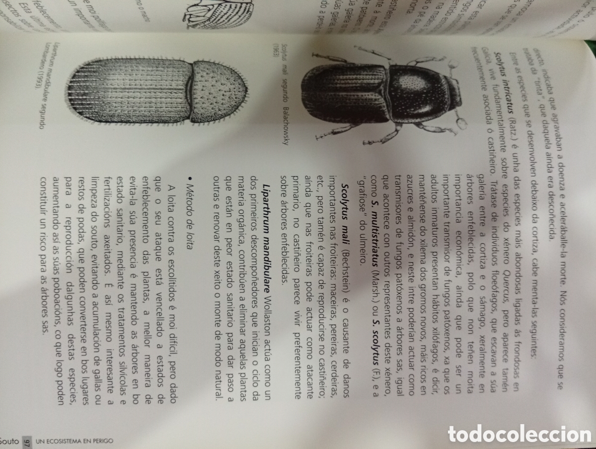 Libros de segunda mano: O Souto un ecosistema en perigo - Foto 5