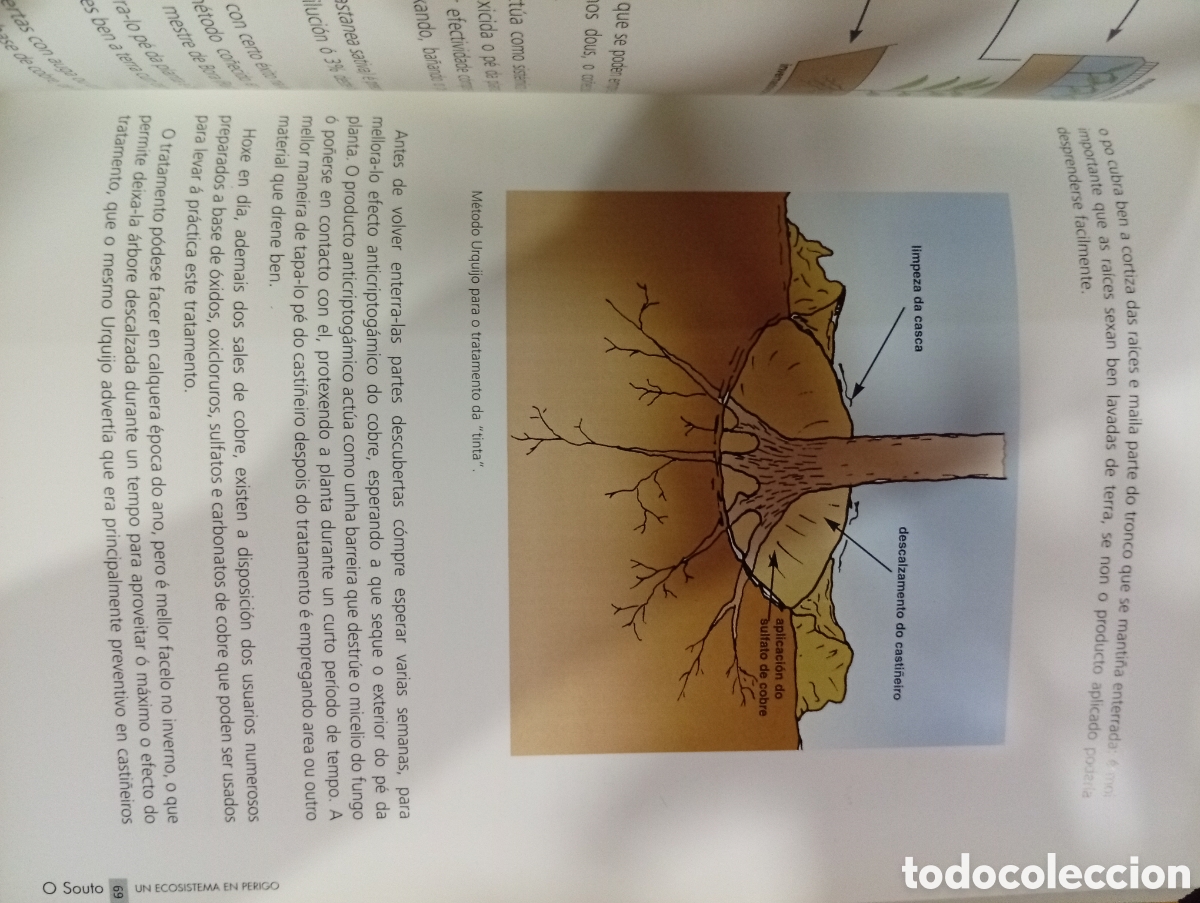 Libros de segunda mano: O Souto un ecosistema en perigo - Foto 7