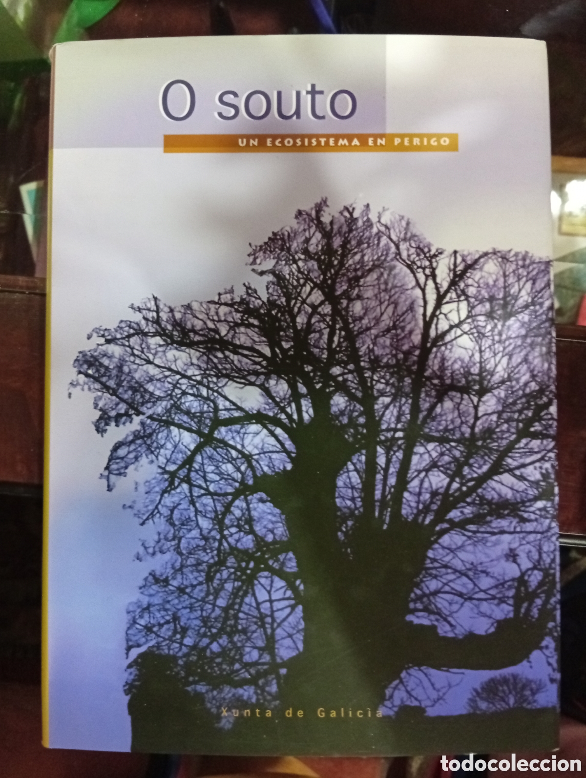 Libros de segunda mano: O Souto un ecosistema en perigo