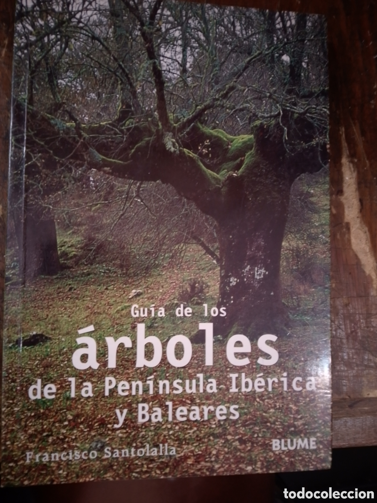 Libros de segunda mano: GUIA DE LOS ARBOLES D LA PEN. IBERICA Y BALEARES. SANTOLALLA, FRAN. BLUME. 2003
