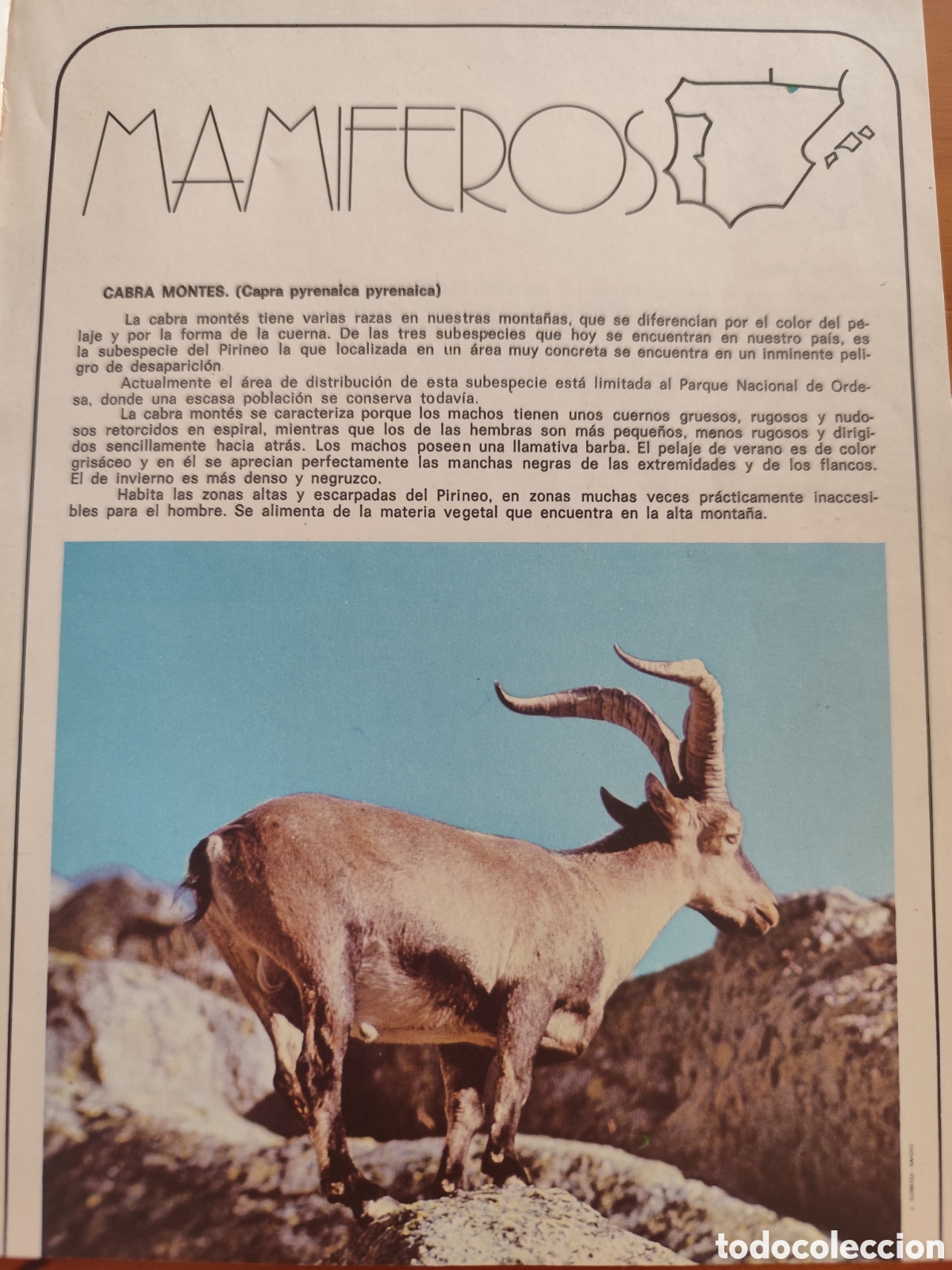 Libros de segunda mano: El libro de las especies protegidas - Foto 2