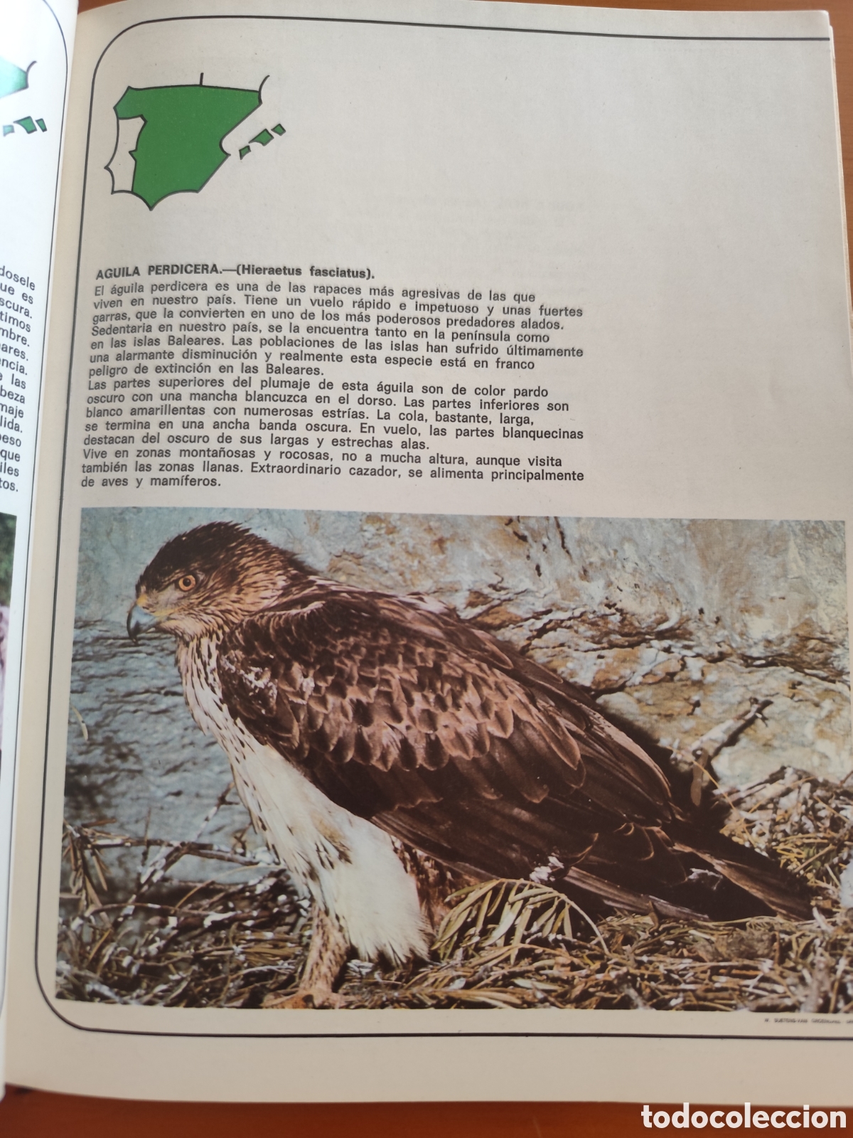 Libros de segunda mano: El libro de las especies protegidas - Foto 3