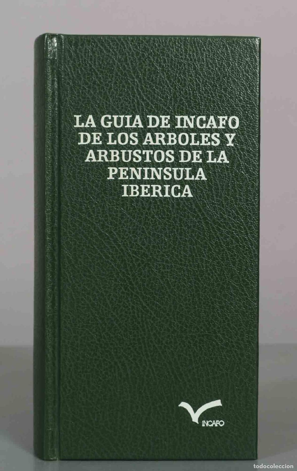 Libros de segunda mano: LA GUIA DE INCAFO DE LOS ARBOLES Y ARBUSTOS DE LA PENINSULA IBERICA. Incafo
