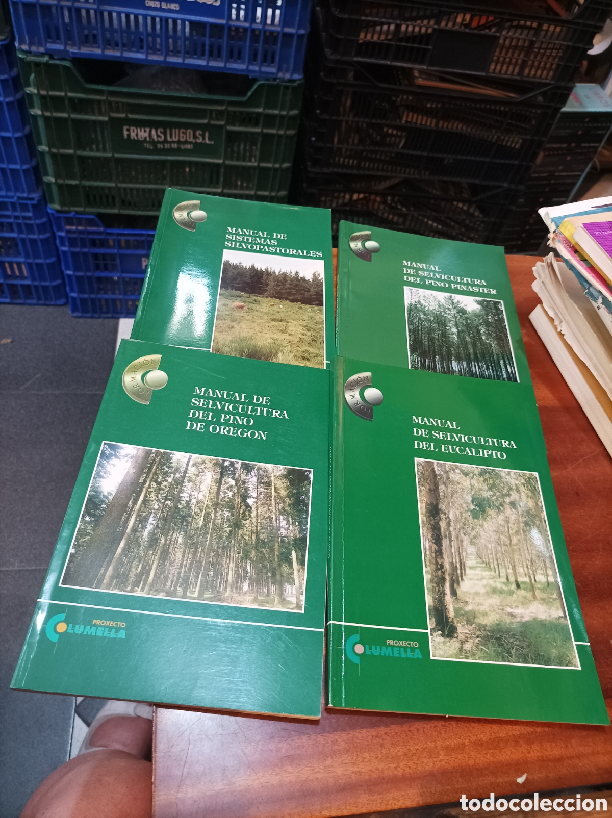 Libros de segunda mano: MANUALES DE SELVICULTURA DEL PINO PINASTRE,DE OREGON,DEL EUCALIPTO Y DE SISTEMAS SILVOPASTORALES.