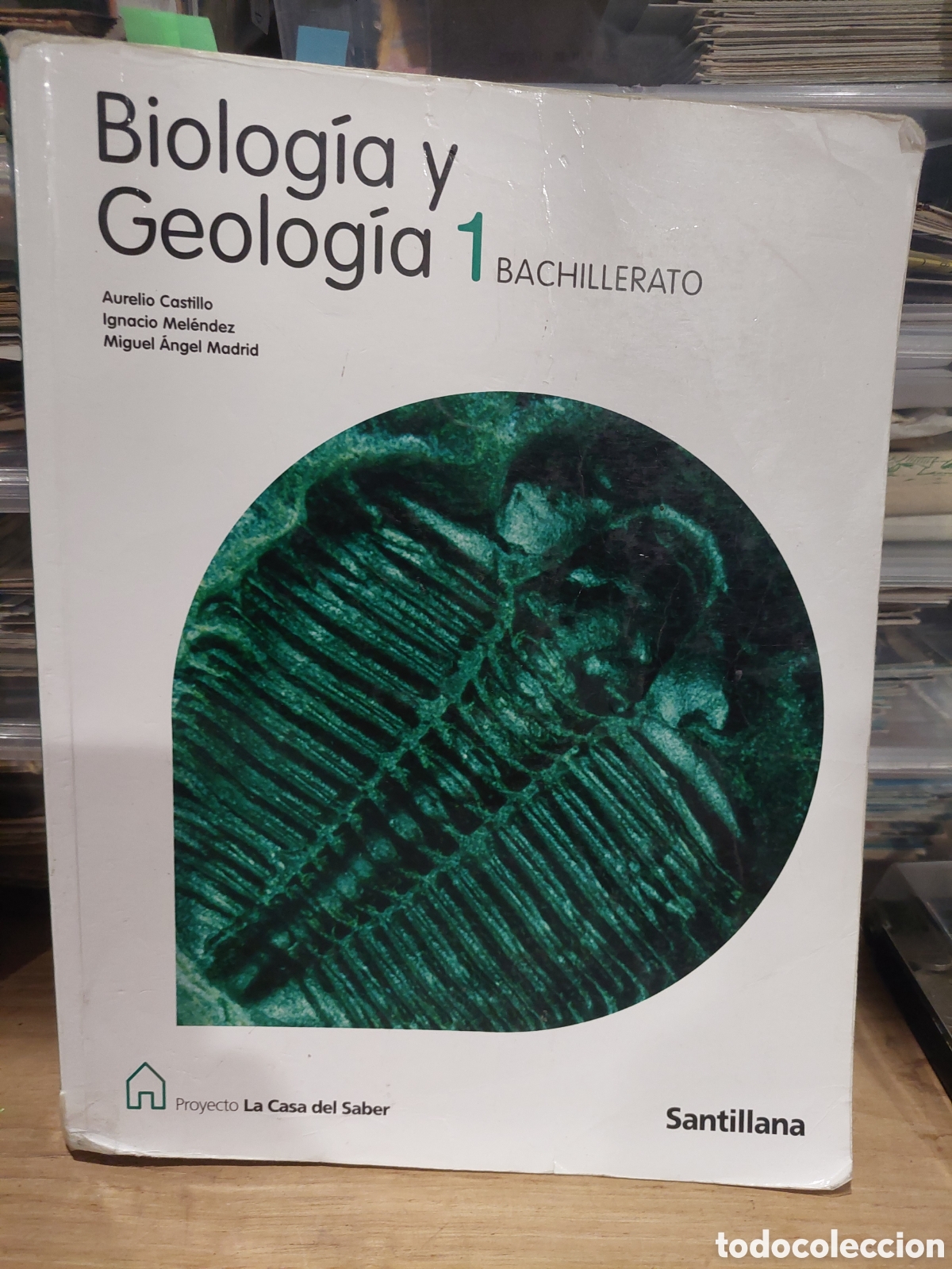 Libros de segunda mano: BIOLOG&Iacute;A Y GEOLOG&Iacute;A 1 BACHILLERATO SANTILLANA