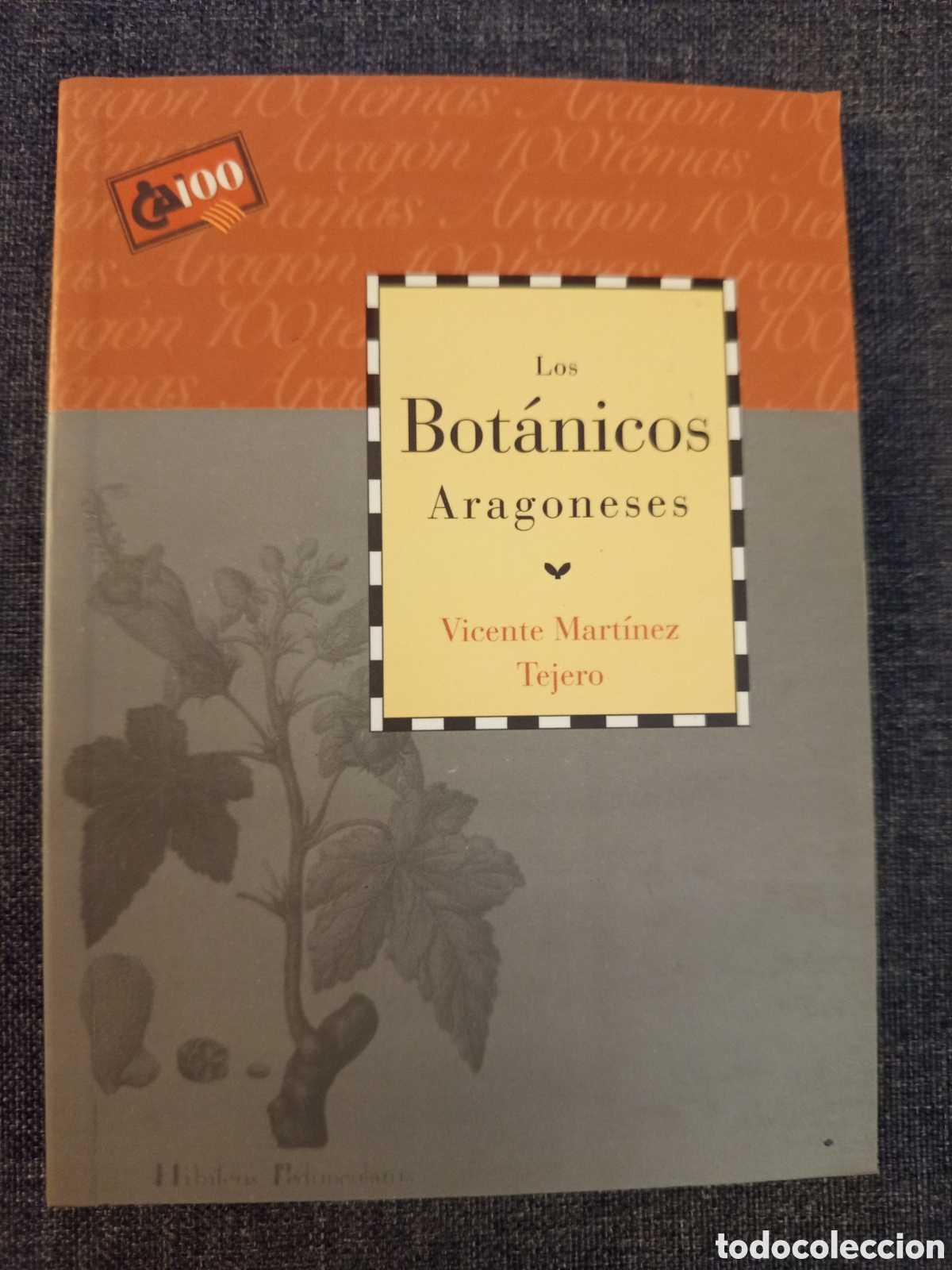 Libros de segunda mano: LOS BOTANICOS ARAGONESES (VICENTE MARTINEZ TEJERO)