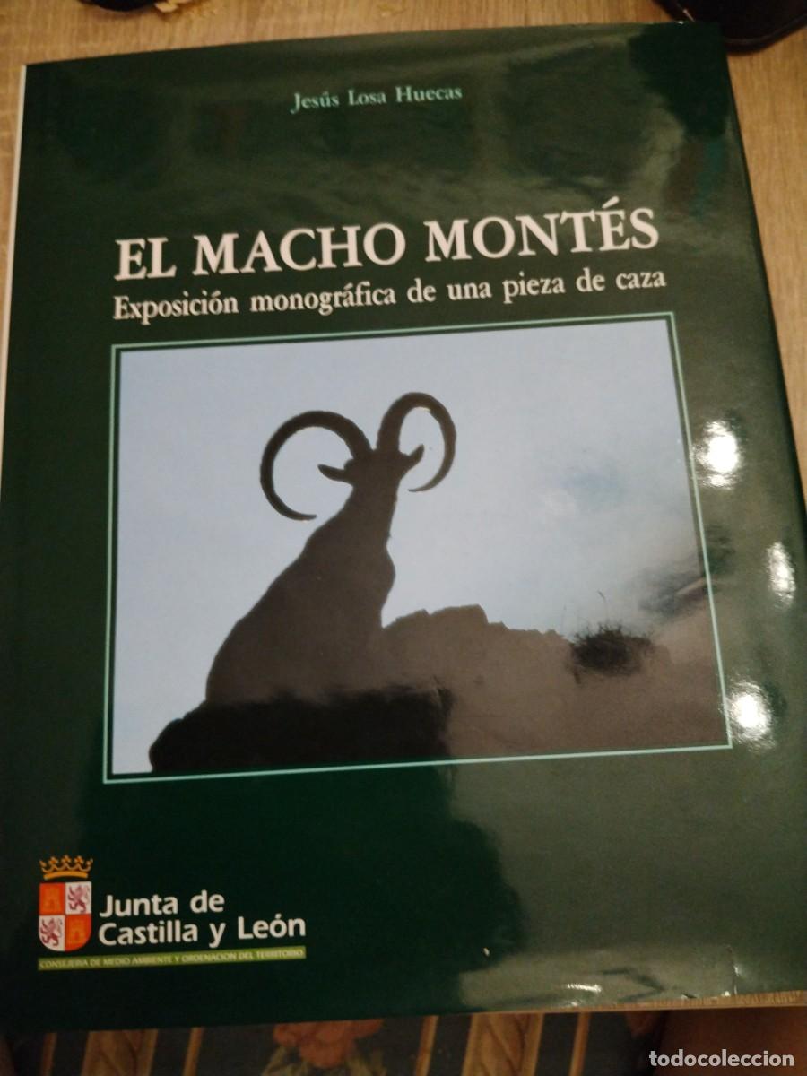 Libros de segunda mano: El macho mont&eacute;s, exposici&oacute;n monogr&aacute;fica de una pieza de caza- Jes&uacute;s losa huecas-Junta de Castilla y