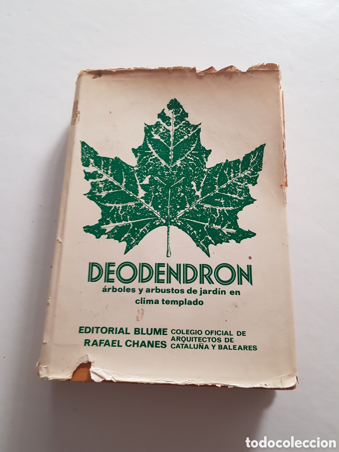 Libros de segunda mano: Deodendron: &aacute;rboles y Arbustos de Jard&iacute;n en Clima Templado .Libro de Rafael Chanes