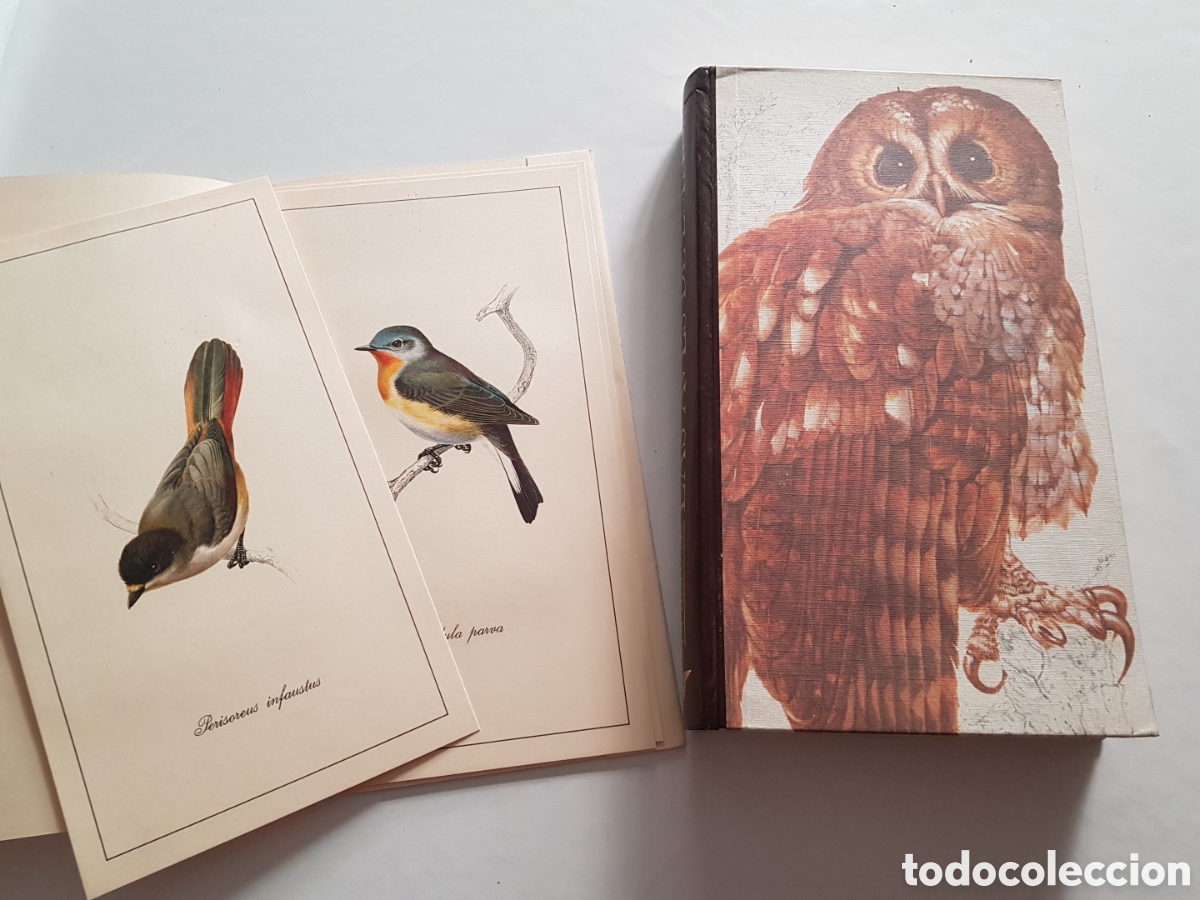 Libros de segunda mano: El libro de las aves de Espa&ntilde;a. Readers Digest - Foto 2