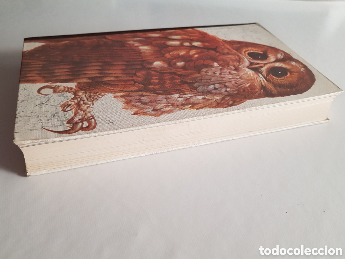 Libros de segunda mano: El libro de las aves de Espa&ntilde;a. Readers Digest - Foto 4