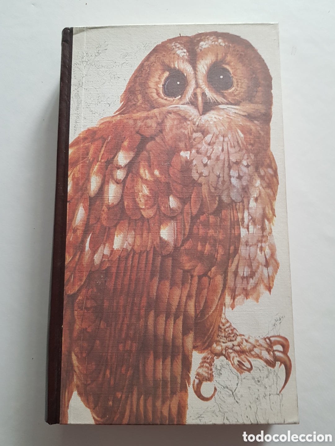Libros de segunda mano: El libro de las aves de Espa&ntilde;a. Readers Digest - Foto 8