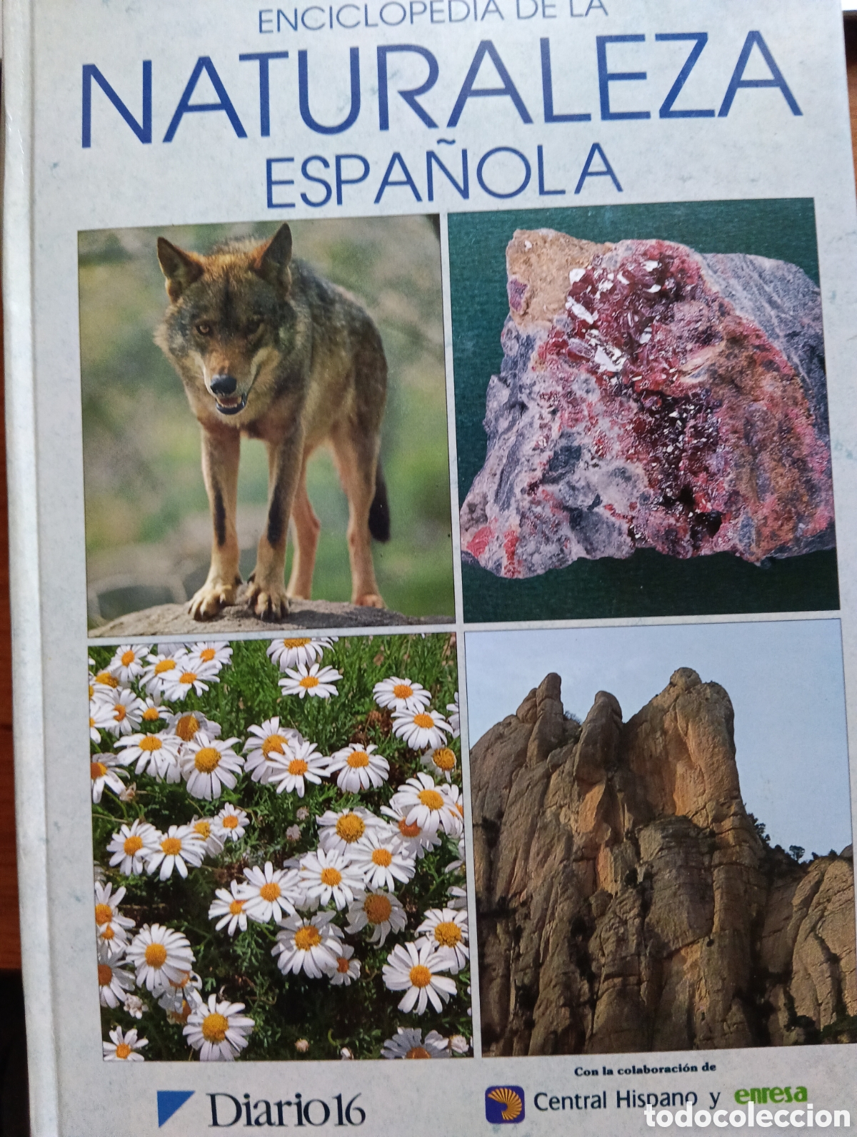 Libros de segunda mano: Enciclopedia de la Naturaleza Espa&ntilde;ola, Diario 16