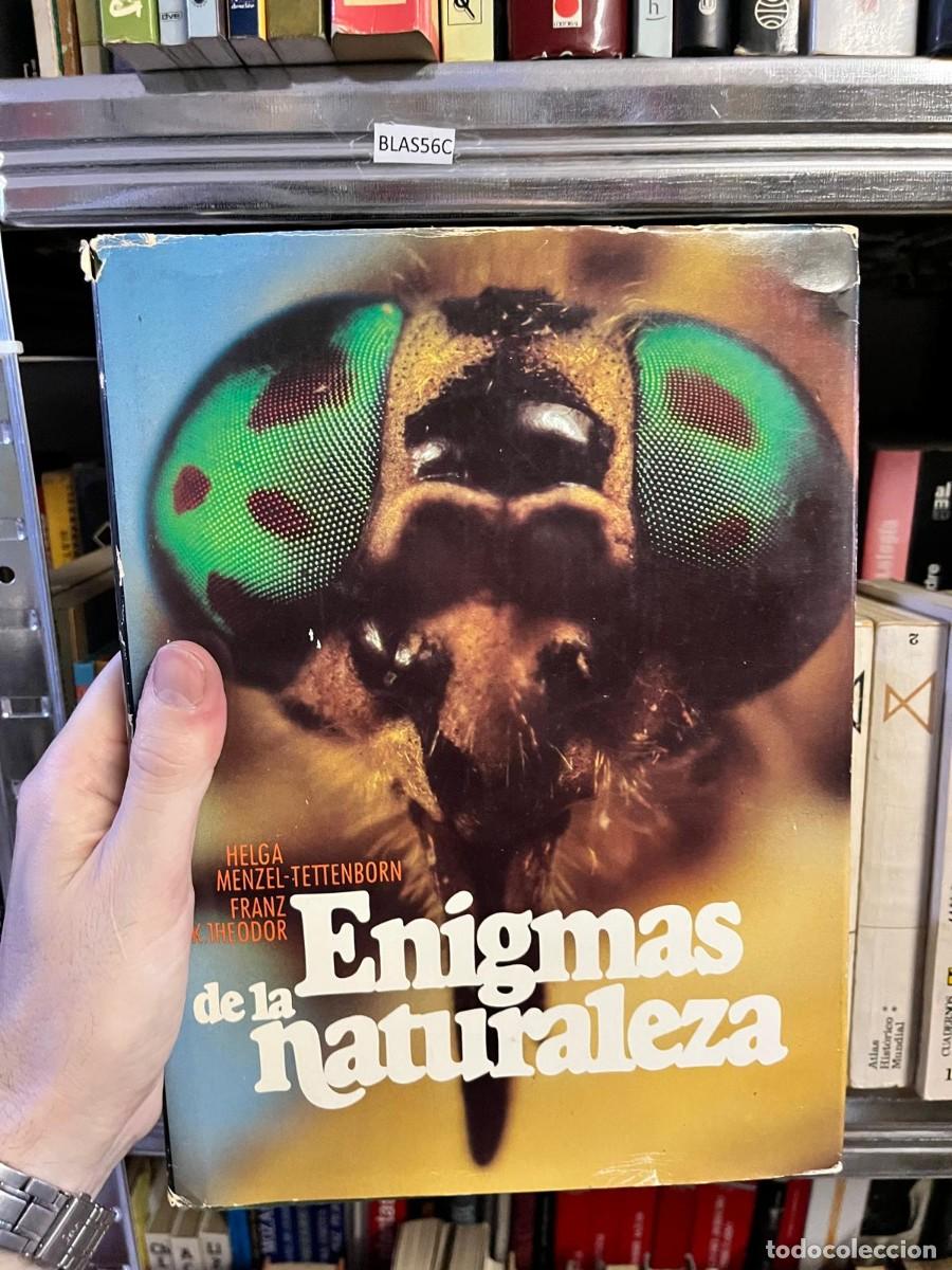 Libros de segunda mano: BLAS56C &ndash; Helga Menzel-Tettenborn y Franz K. Theodor &ndash; Enigmas de la naturaleza