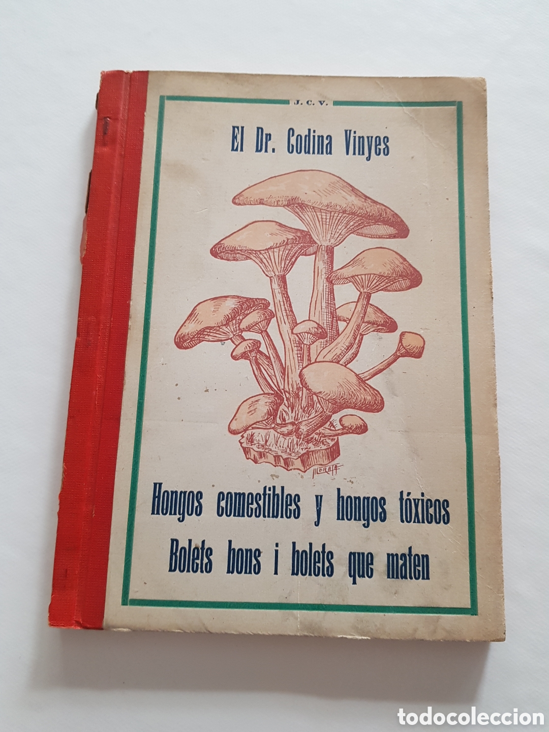 Libros de segunda mano: Hongos comestibles y hongos toxicos. Dr. CODINA