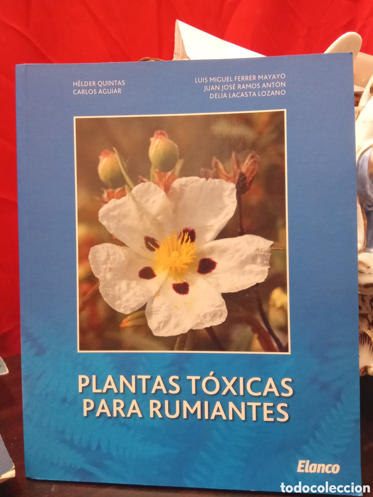 Libros de segunda mano: PLANTAS T&Oacute;XICAS PARA RUMIANTES - HELDER QUINTAS / CARLOS AGUIAR - LUIS MIGUEL FERRER MAYAYO