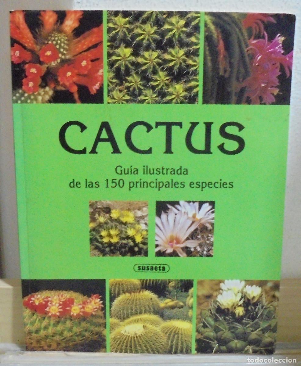 Libros de segunda mano: Cactus, gu&iacute;a ilustrada de las 150 principales especies
