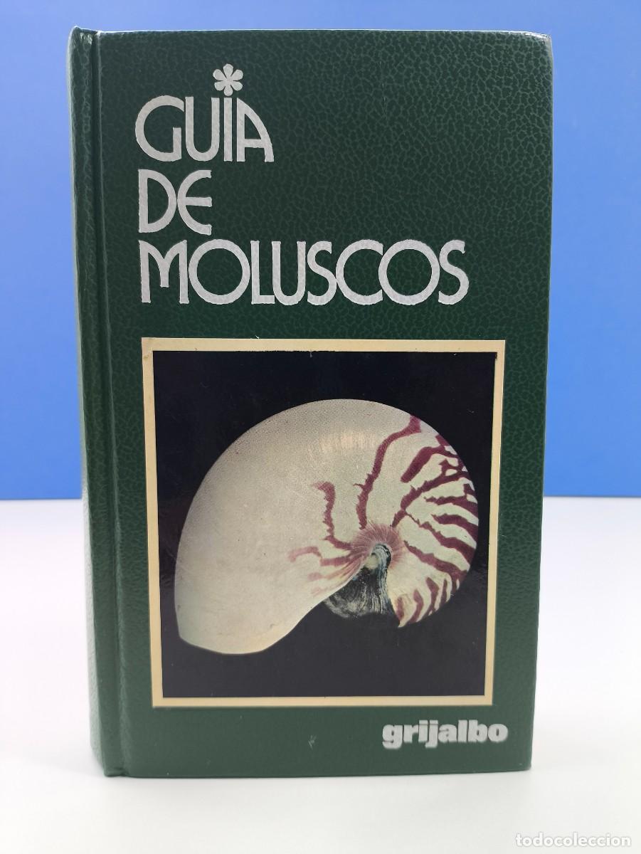 Libros de segunda mano: GU&Iacute;A DE MOLUSCOS / BRUNO SABELLI / 1982 GRIJALBO