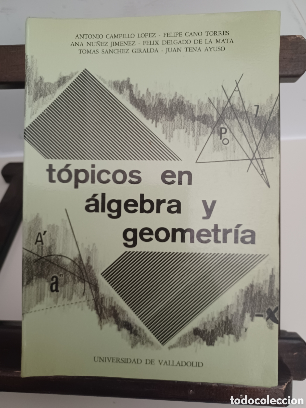 Libros de segunda mano de ciencias: T&oacute;picos en &aacute;lgebra y geometr&iacute;a/ VVAA/ Universidad de Valladolid, 1985