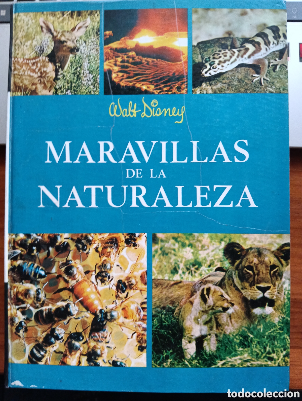Libros de segunda mano: Maravillas de la naturaleza, Walt Disney
