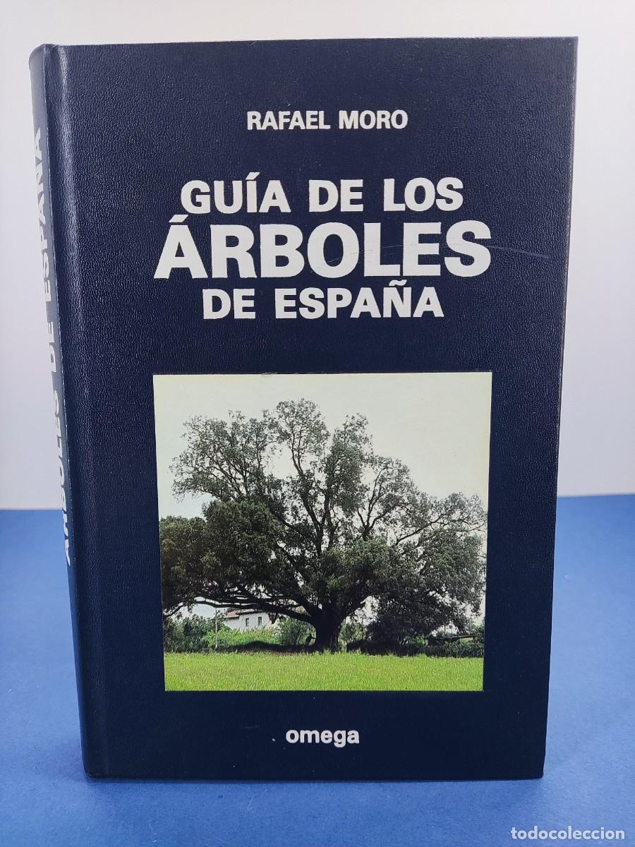 Libros de segunda mano: GU&Iacute;A DE LOS &Aacute;RBOLES DE ESPA&Ntilde;A / RAFAEL MORO / 1988. OMEGA