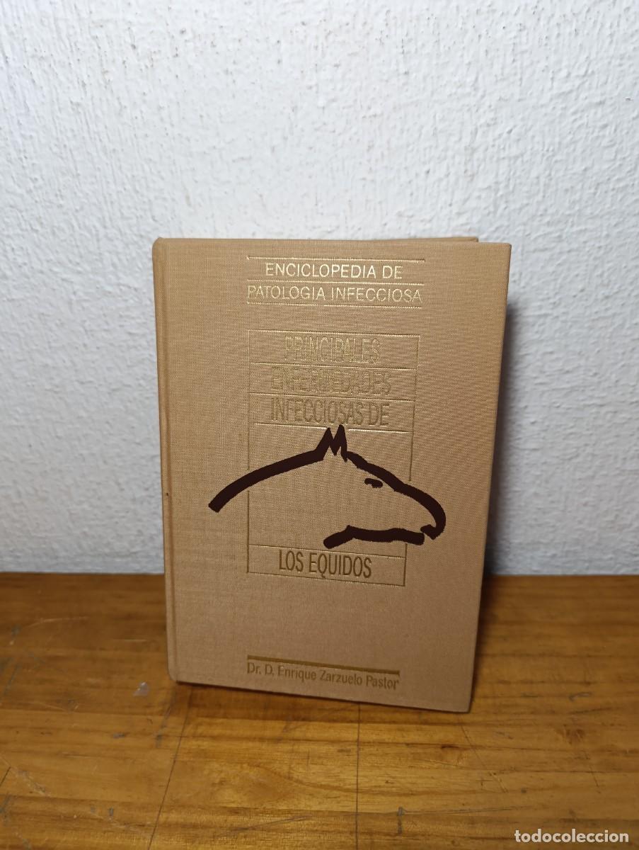 Libros de segunda mano: Enf. Infecciosas Equidos - Zarzuelo Pastor 1988