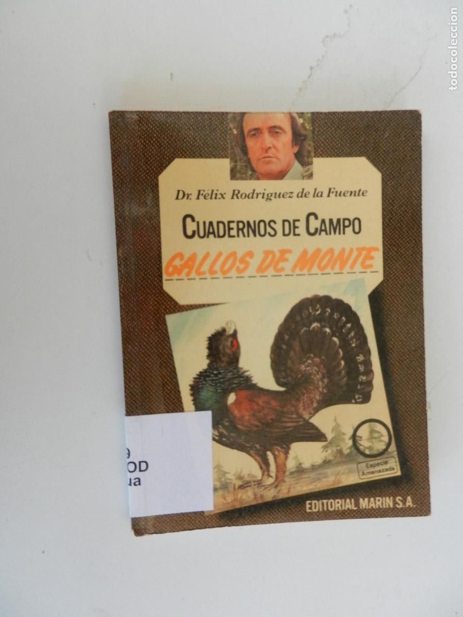 Libros de segunda mano: GALLOS DE MONTE -CUADERNOS DE CAMPO - DR. F&Eacute;LIX RODR&Iacute;GUEZ DE LA FUENTE-N&ordm; 54-EDITORIAL MAR&Iacute;N 1978.