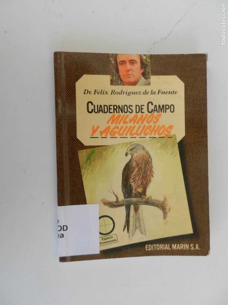 Libros de segunda mano: MILANOS Y AGUILUCHOS- CUADERNOS DE CAMPO-DR. F&Eacute;LIX RODR&Iacute;GUEZ DE LA FUENTE-N&ordm; 45-EDITORIAL MAR&Iacute;N 1978