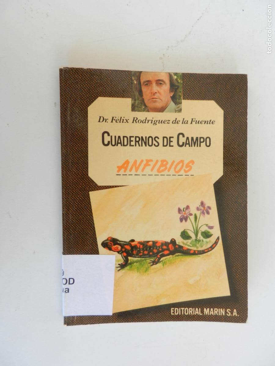 Libros de segunda mano: ANFIBIOS - CUADERNOS DE CAMPO - DR. F&Eacute;LIX RODR&Iacute;GUEZ DE LA FUENTE-N&ordm; 42-EDITORIAL MAR&Iacute;N 1978.