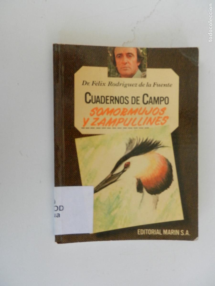 Libros de segunda mano: SOMORMUJOS Y ZAMPULLINES- DR. F&Eacute;LIX RODR&Iacute;GUEZ DE LA FUENTE-N&ordm; 40-EDITORIAL MAR&Iacute;N 1978.