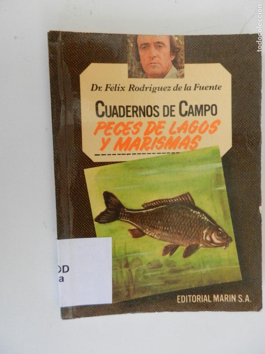 Libros de segunda mano: PECES DE LAGOS Y MARISMAS - CUADERNOS DE CAMPO-DR. F&Eacute;LIX RODR&Iacute;GUEZ DE LA FUENTE-N&ordm; 18-ED. MAR&Iacute;N 1978