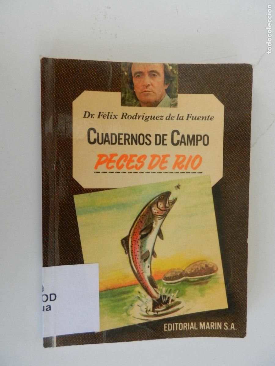 Libros de segunda mano: PECES DE R&Iacute;O -CUADERNOS DE CAMPO - DR. F&Eacute;LIX RODR&Iacute;GUEZ DE LA FUENTE-N&ordm; 14-EDITORIAL MAR&Iacute;N 1978.