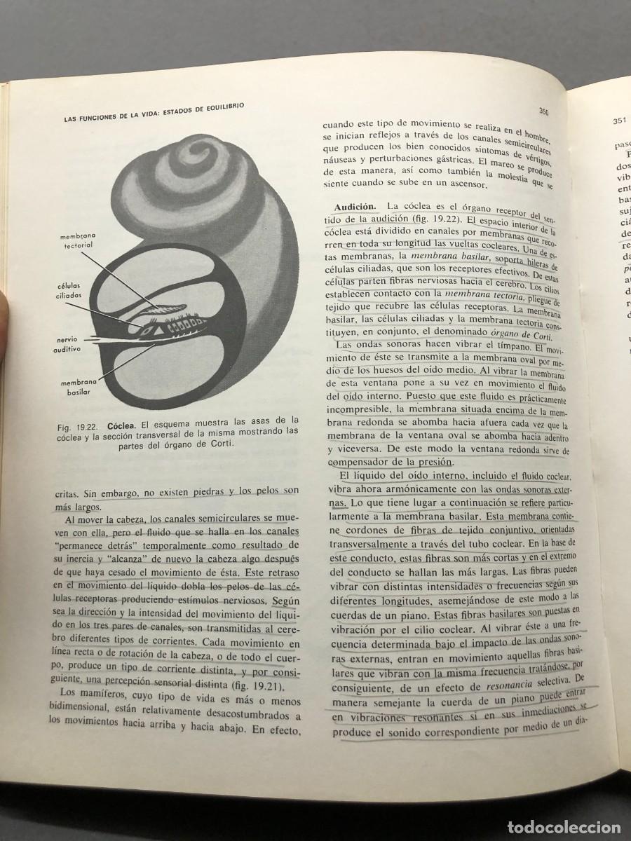 Libros de segunda mano: ELEMENTOS DE BIOLOG&Iacute;A - PAUL B. WEISZ - EDICIONES OMEGA - 1972 / 1380 - Foto 4