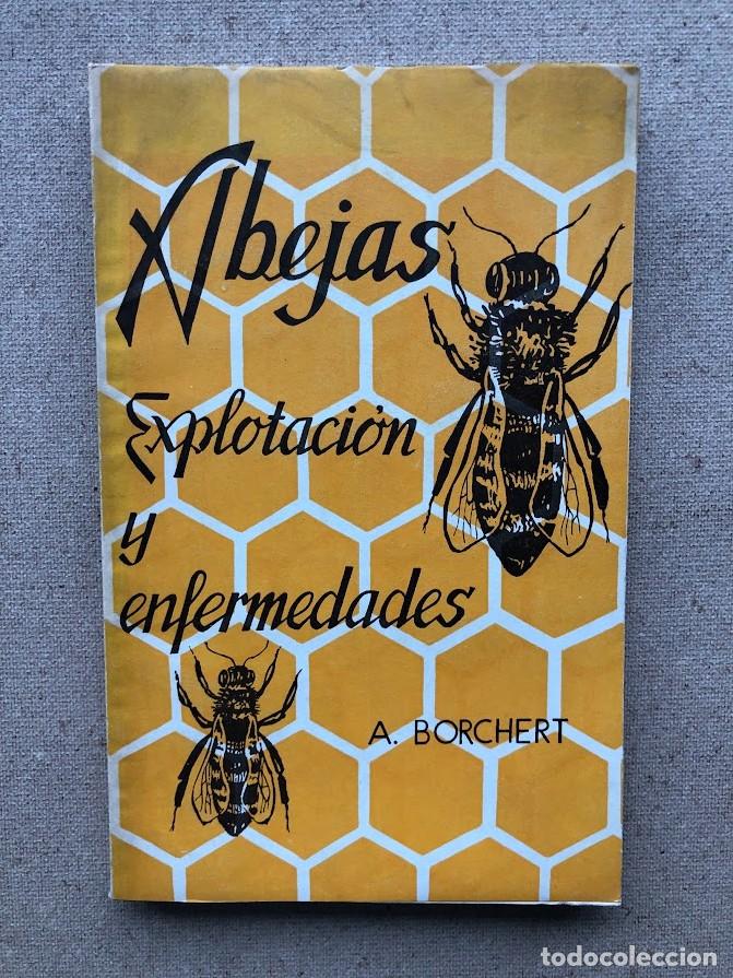 Libros de segunda mano: Abejas, explotaci&oacute;n y enfermedades / Alfred Borchert / Acribia /