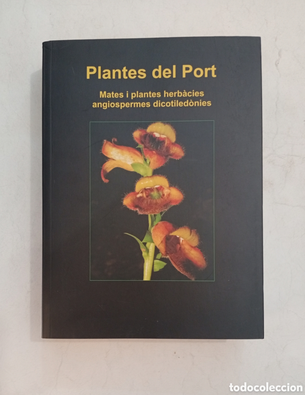 Libros de segunda mano: Plantes del Port Mates i plantes herb&agrave;cies volum II