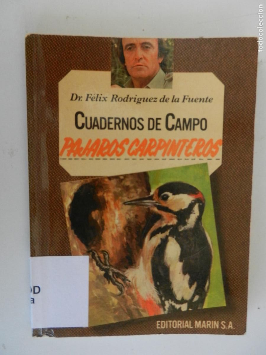 Libros de segunda mano: P&Aacute;JAROS CARPINTEROS - CUADERNOS DE CAMPO-DR. F&Eacute;LIX RODR&Iacute;GUEZ DE LA FUENTE-N&ordm; 6 -EDITORIAL MAR&Iacute;N 1978