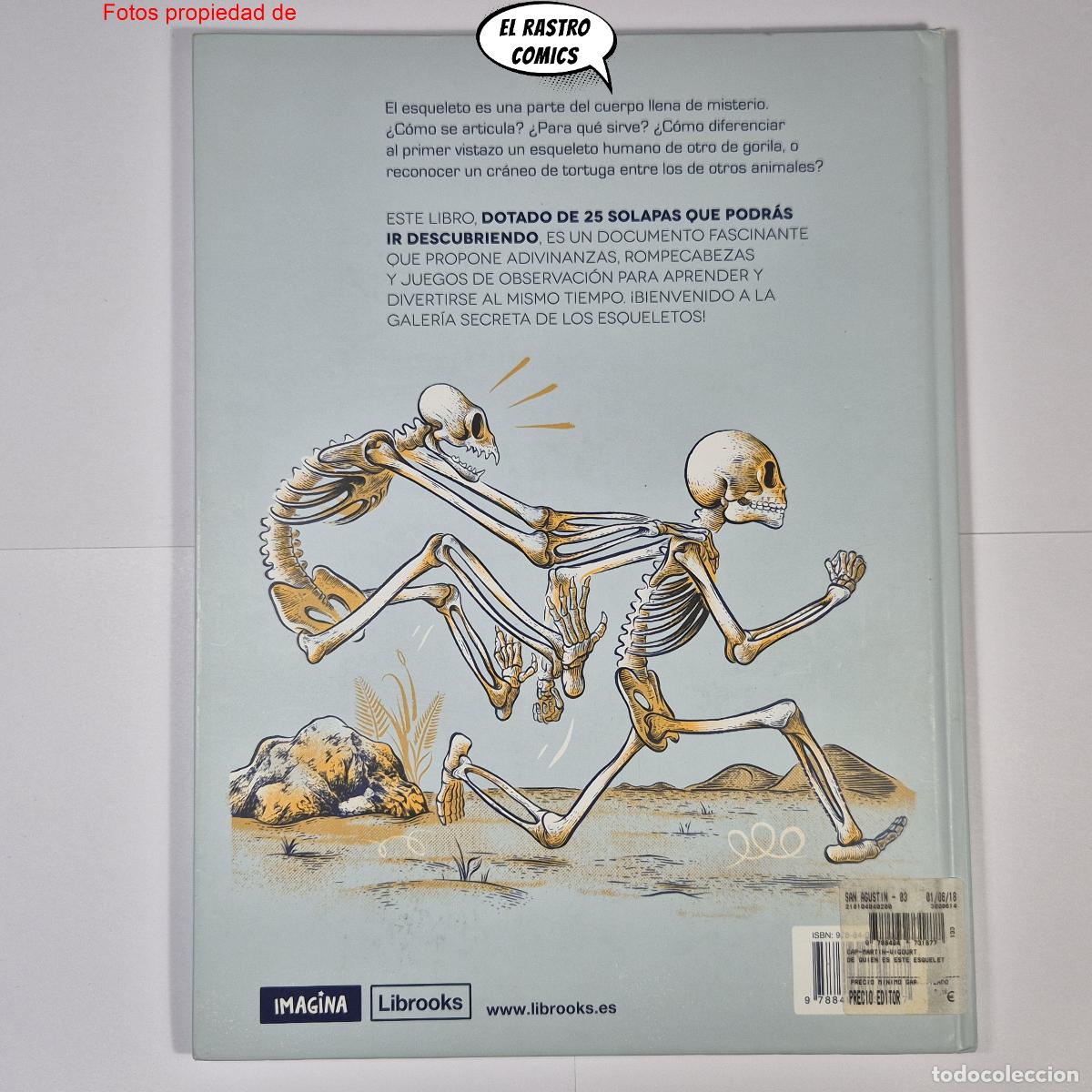 Libros de segunda mano: &iquest;De qui&eacute;n es este esqueleto? ed Librooks 2018, pop up, desplegables, ventanitas, solapas - Foto 3